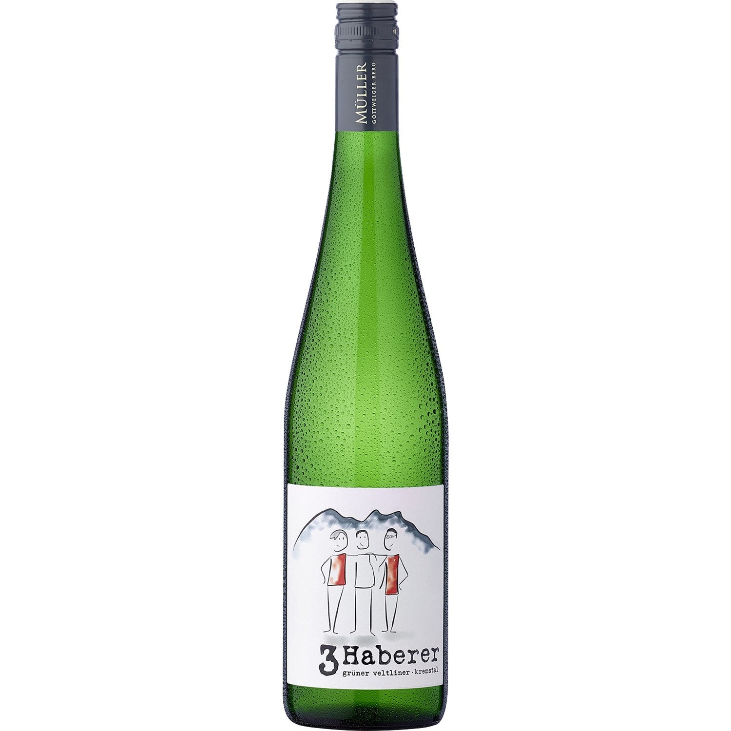 3 Haberer Grüner Veltliner Kremstal DAC Weißwein Wein trocken Österreich (6 x 0.75l) - Versanel - Wein