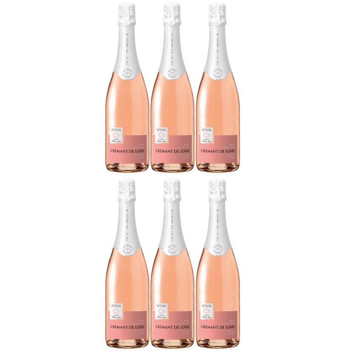 Diamant de Loire Brut Rosé Crémant de Loire Rosé Schaumwein trocken Frankreich (6 x 0,75l)