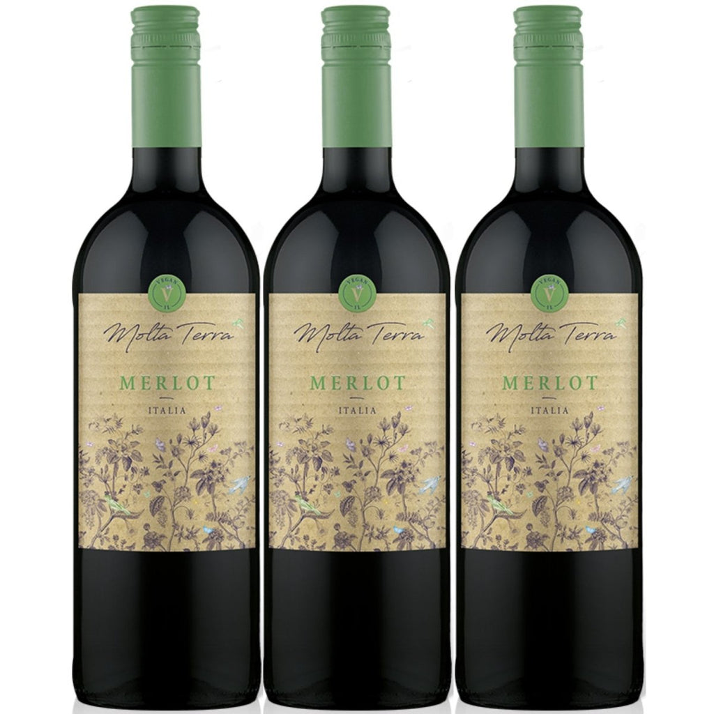 Dente – (3 halbtrocken 1.0l) Al Merlot Versanel Italien x Rotwein Wein
