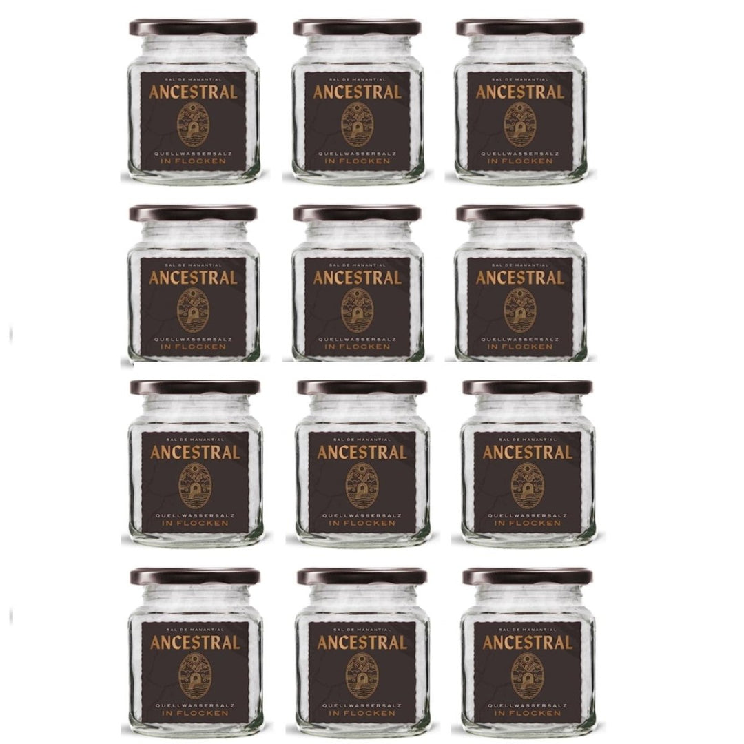 Ancestral Sal de Manantial en Escamas im Glas | Quellwassersalz in Flocken 180g | Salzfloken aus 220 Millionen Jahre altem Gesteinsquellwasser in Navarra (12 x 180 g) - Versanel -