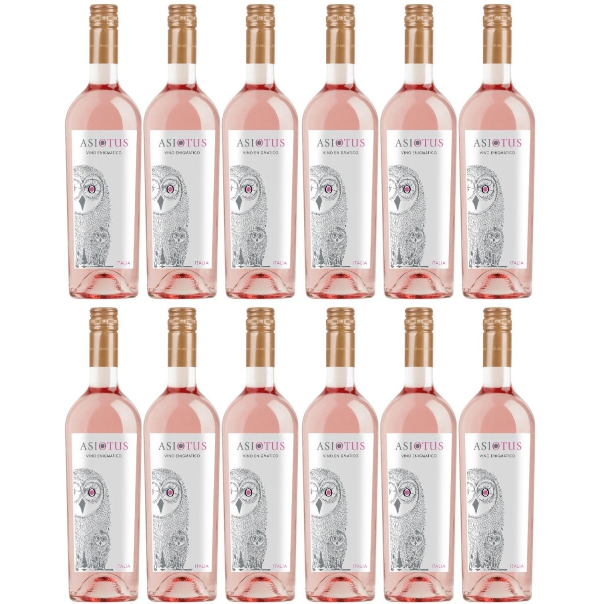 Asio Otus Rosso Vino Varietale Roséwein Wein Trocken Italien (12 x 0.75l) - Versanel -