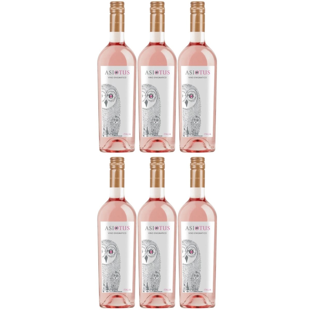 Asio Otus Rosso Vino Varietale Roséwein Wein Trocken Italien (6 x 0.75l) - Versanel -