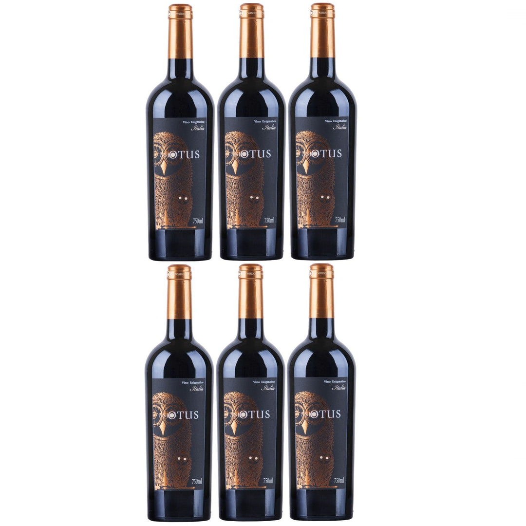 Asio Otus Rosso Vino Varietale Rotwein Wein lieblich Italien (6 x 0.75l) - Versanel -