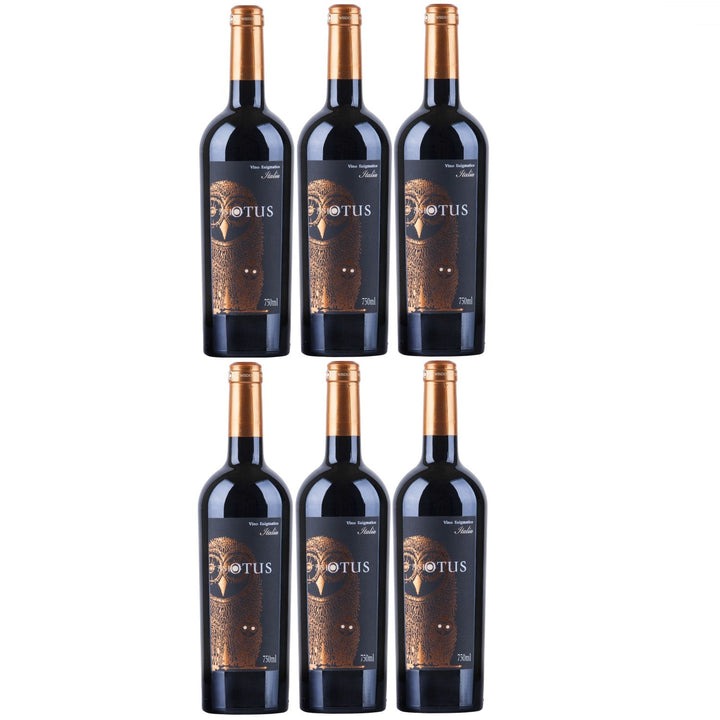 Asio Otus Rosso Vino Varietale Rotwein Wein lieblich Italien (6 x 0.75l) - Versanel -