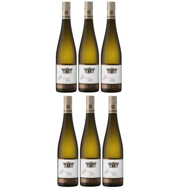 Baron Knyphausen Riesling 1818 VDP.GUTSWEIN Weisswein Feinherb Rheingau Deutschland (6 x 0,75l) - Versanel -