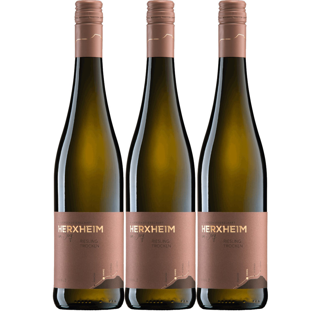 Herxheim Riesling QbA Weißwein Wein trocken Deutschland (3 x 0,75l)