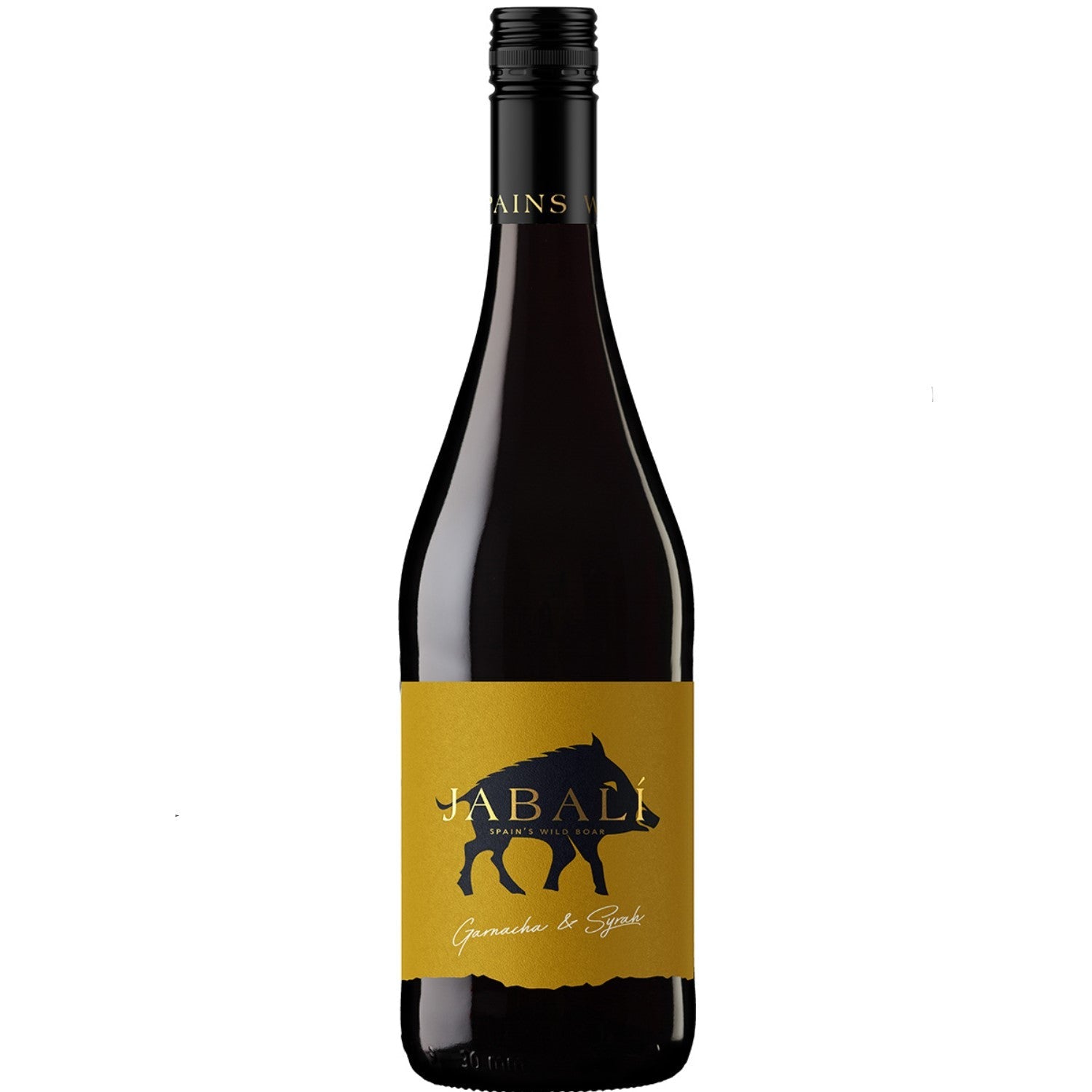 Bodegas Paniza Agoston Garnacha Syrah Rotwein Wein halbtrocken Spanien –  Versanel | Rotweine