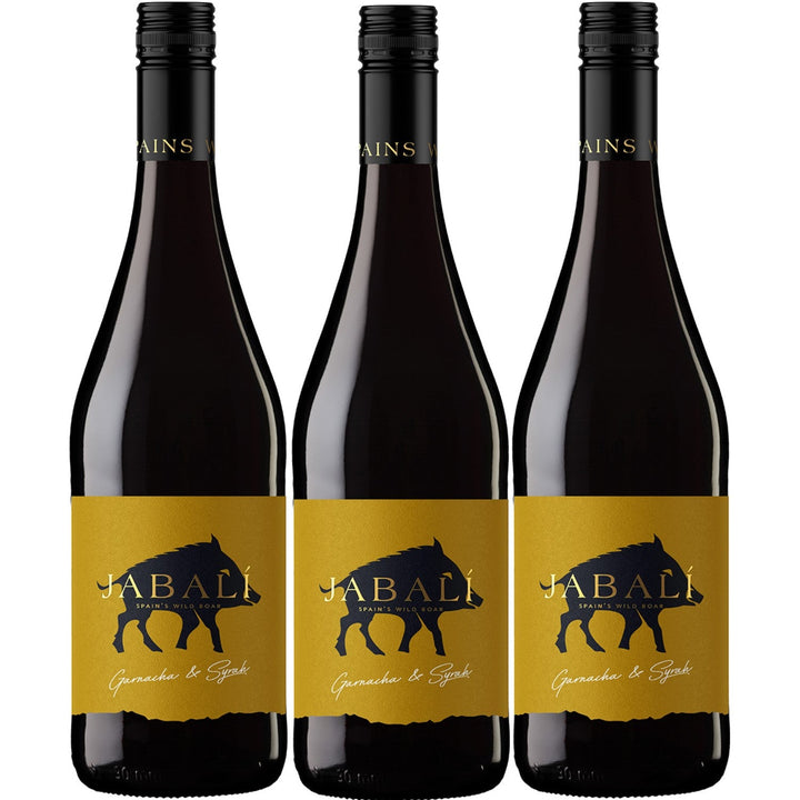 Bodegas Paniza Agoston Garnacha Syrah Rotwein Wein halbtrocken Spanien (3 x 0.75l) - Versanel -