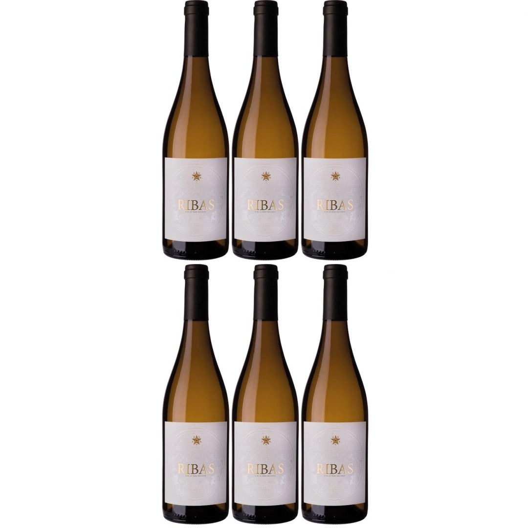 Bodegas Ribas Blanc Weißwein Wein trocken Bio Mallorca Spanien (6 x 0,75l) - Versanel -