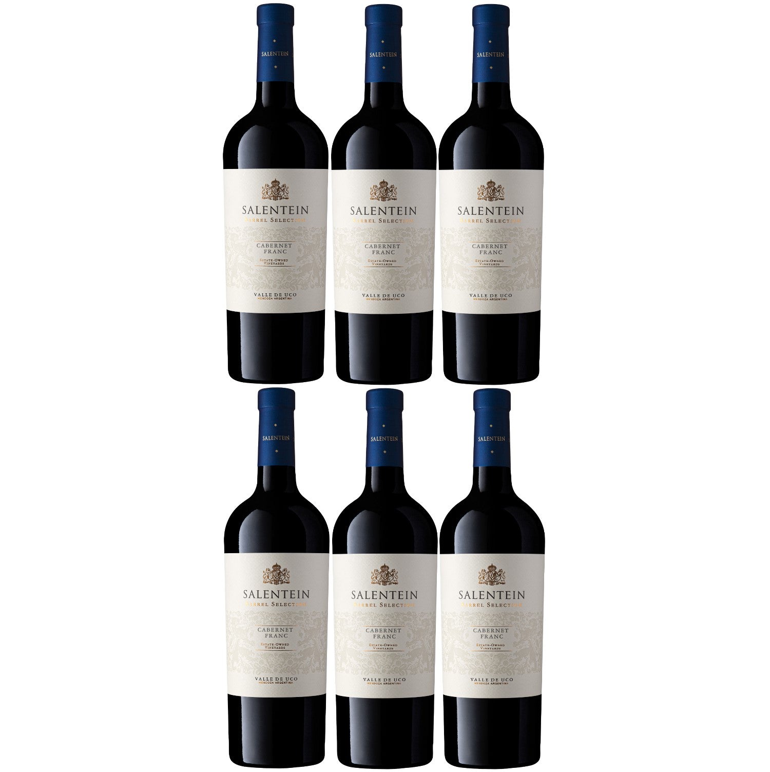 Bodegas Salentein Barrel Selection Cabernet Franc Rotwein Wein trocken Argentinien (6 x 0.75l) - Versanel -