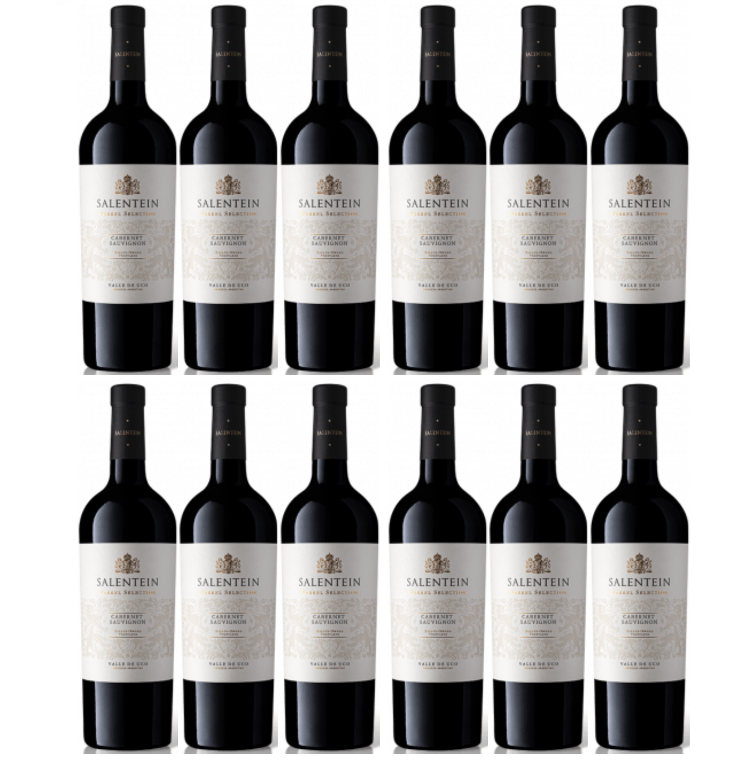 Bodegas Salentein Barrel Selection Cabernet Sauvignon Rotwein Wein trocken Argentinien (12 x 0.75l) - Versanel -
