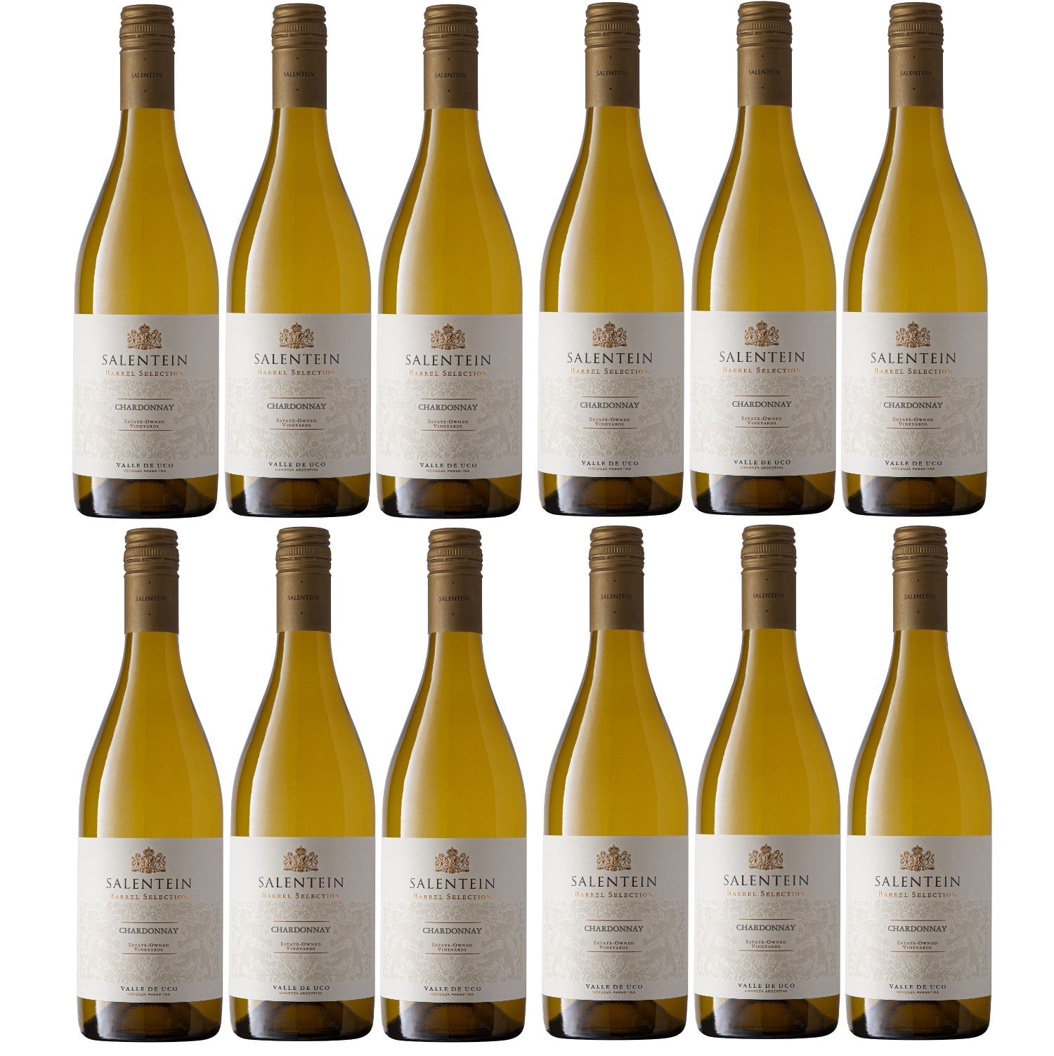 Bodegas Salentein Barrel Selection Chardonnay Weißwein Wein trocken Argentinien (12 x 0.75l) - Versanel -