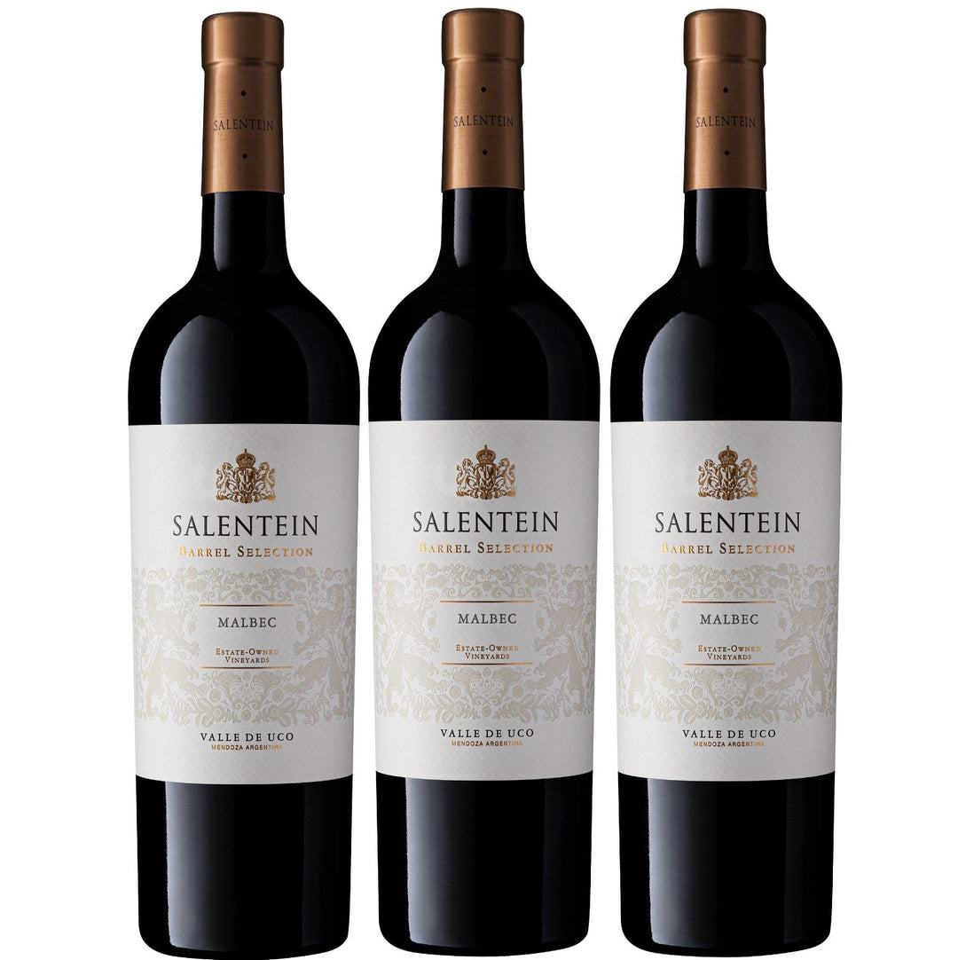 Bodegas Salentein Barrel Selection Malbec Rotwein Wein trocken Argentinien (3 x 0.75l) - Versanel -