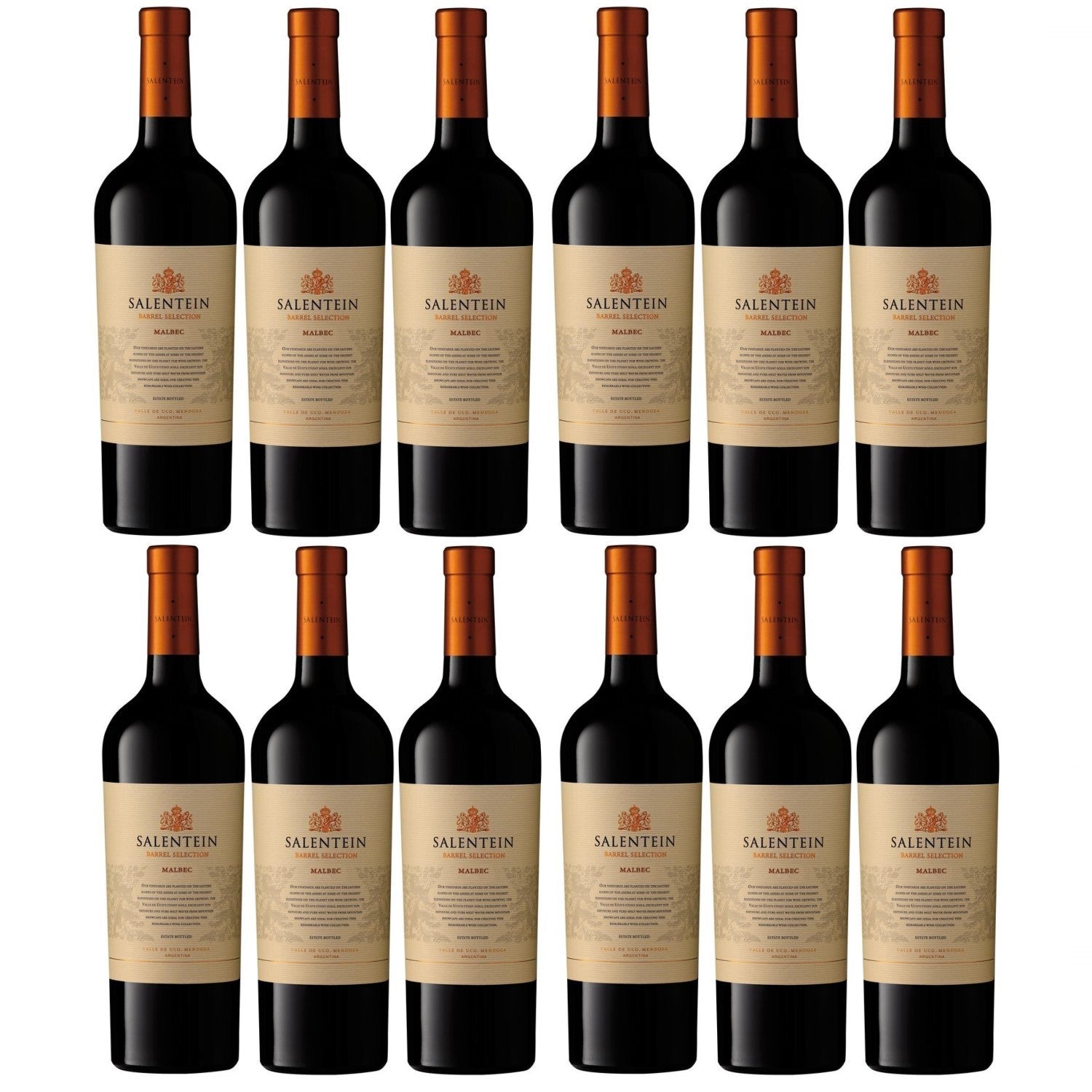 Bodegas Salentein Barrel Selection Merlot Rotwein Wein trocken Argentinien (12 x 0.75l) - Versanel -