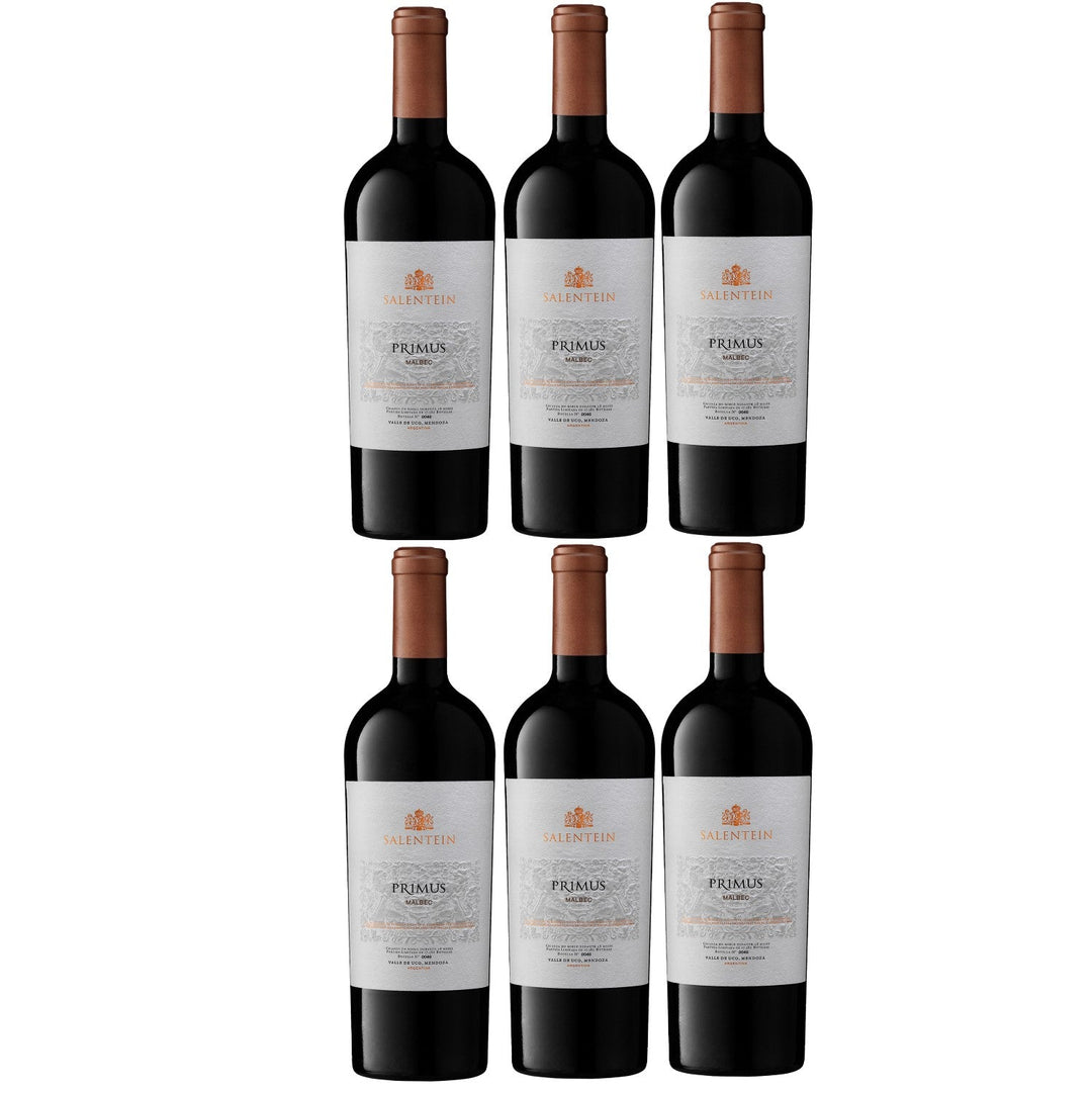 Bodegas Salentein Primus Malbec Rotwein Wein trocken Argentinien (6 x 0.75l) - Versanel -