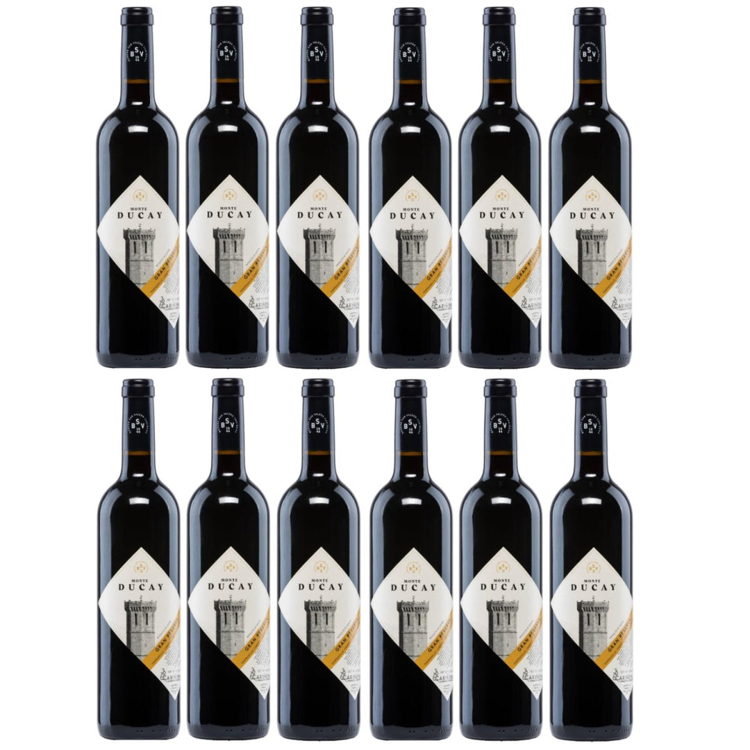 Bodegas San Valero Monte Ducay Gran Reserva Vegan Rotwein Wein Trocken Spanien (12 x 0,75l) - Versanel -