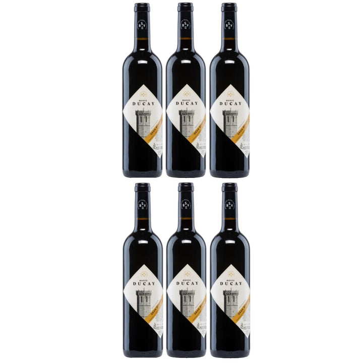 Bodegas San Valero Monte Ducay Gran Reserva Vegan Rotwein Wein Trocken Spanien (6 x 0,75l) - Versanel -