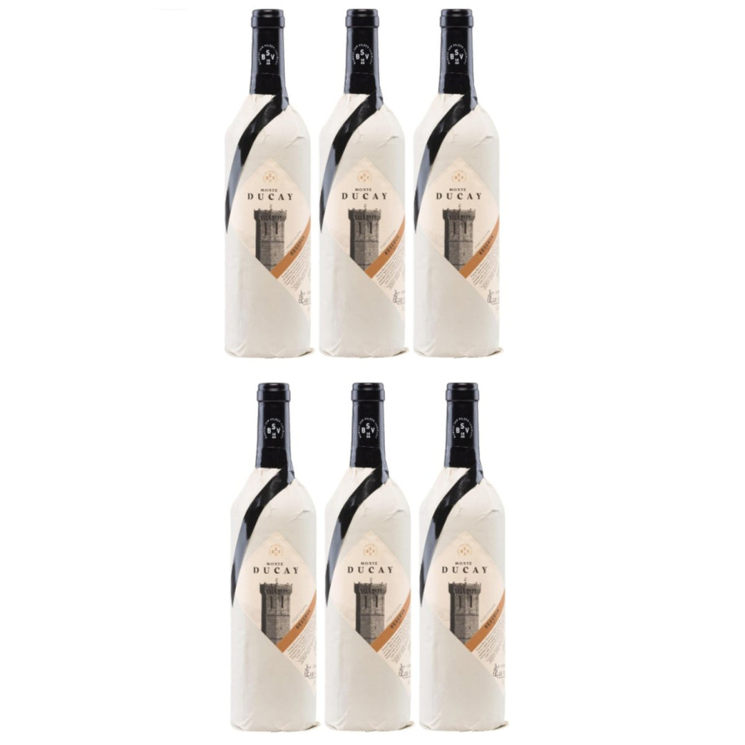 Bodegas San Valero Monte Ducay Reserva Pergamino Vegan Rotwein Wein Trocken Spanien (6 x 0,75l) - Versanel -