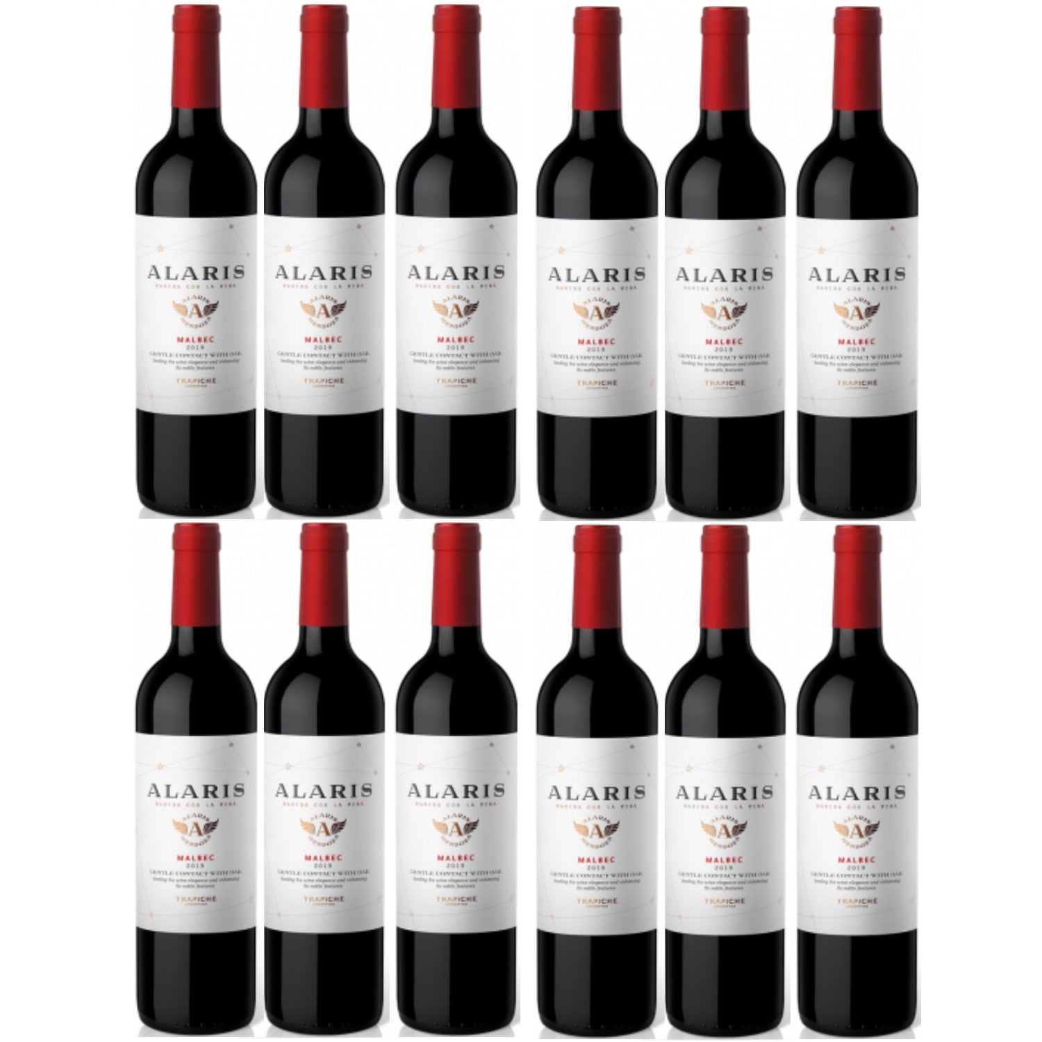 Bodegas Trapiche Alaris Malbec Rotwein Wein trocken Argentinien (12 x 0.75l) - Versanel -