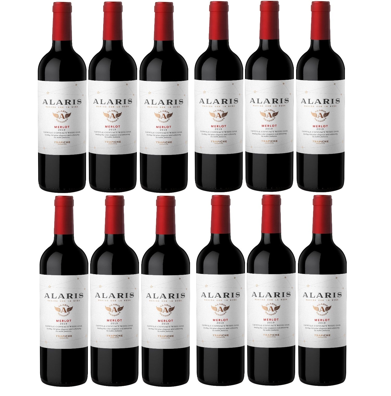 Bodegas Trapiche Alaris Merlot Rotwein Wein trocken Argentinien (12 x 0.75l) - Versanel -