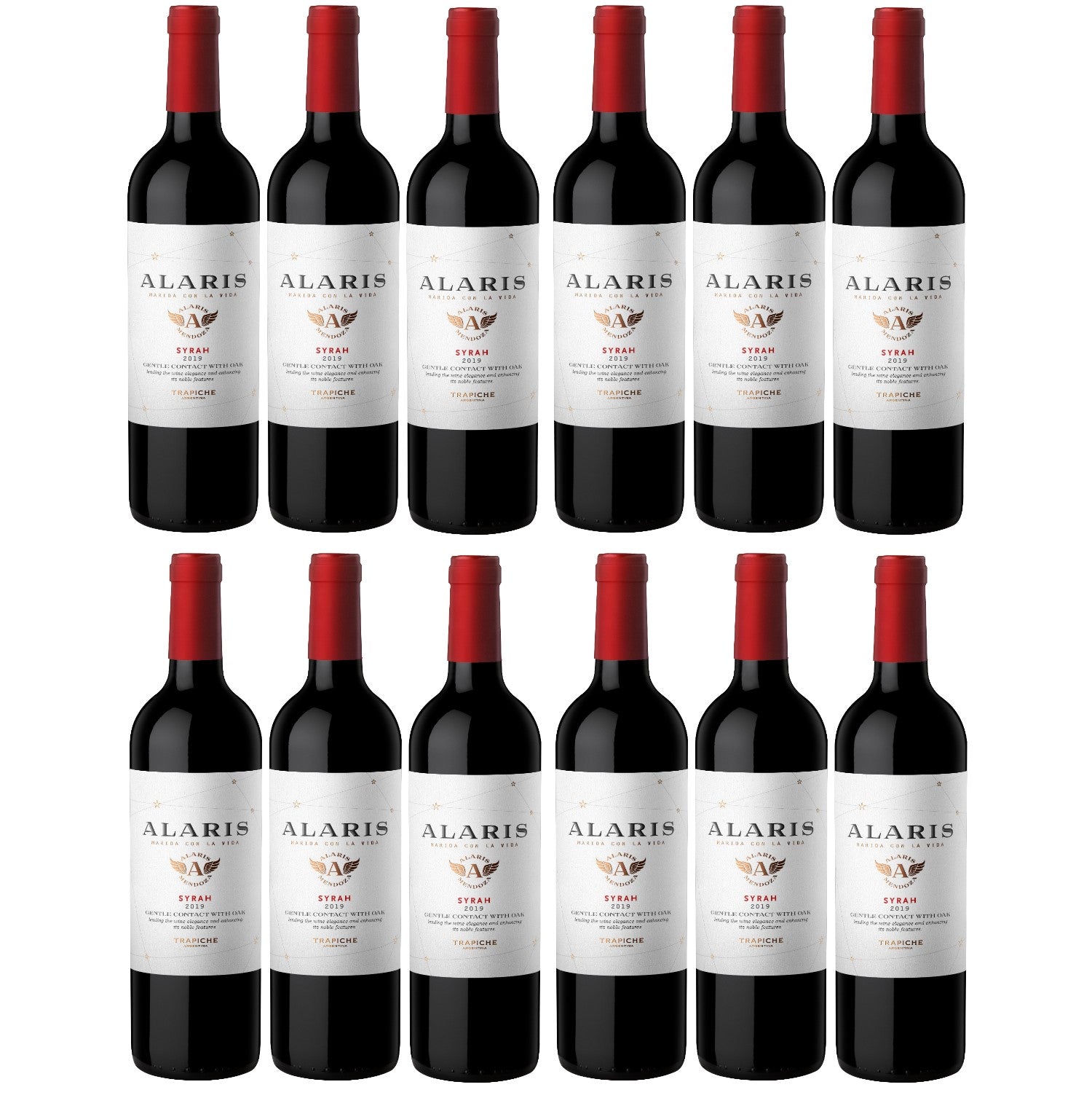 Bodegas Trapiche Alaris Syrah Rotwein Wein trocken Argentinien (12 x 0.75l) - Versanel -