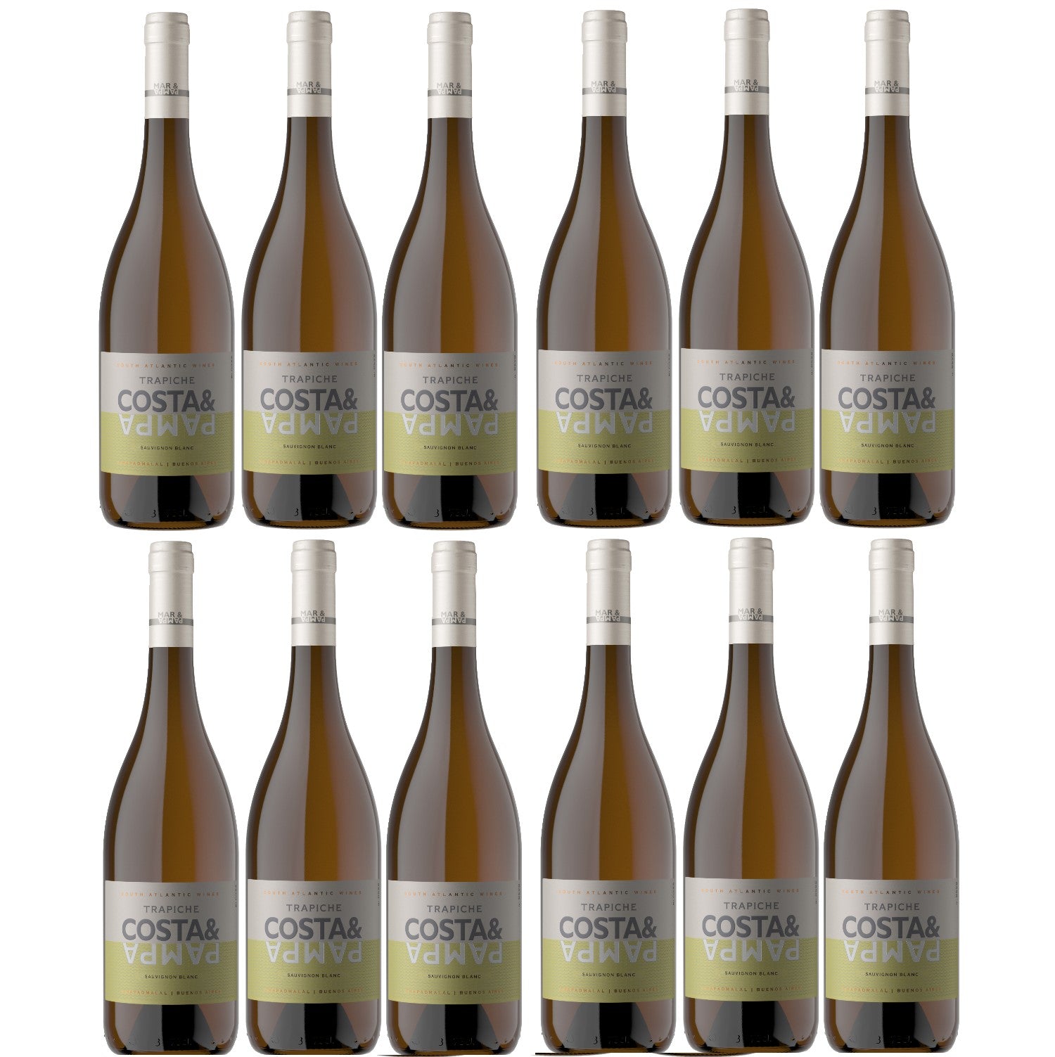 Bodegas Trapiche Costa & Pampa Sauvignon Blanc Weißwein Wein trocken Argentinien (12 x 0.75l) - Versanel -