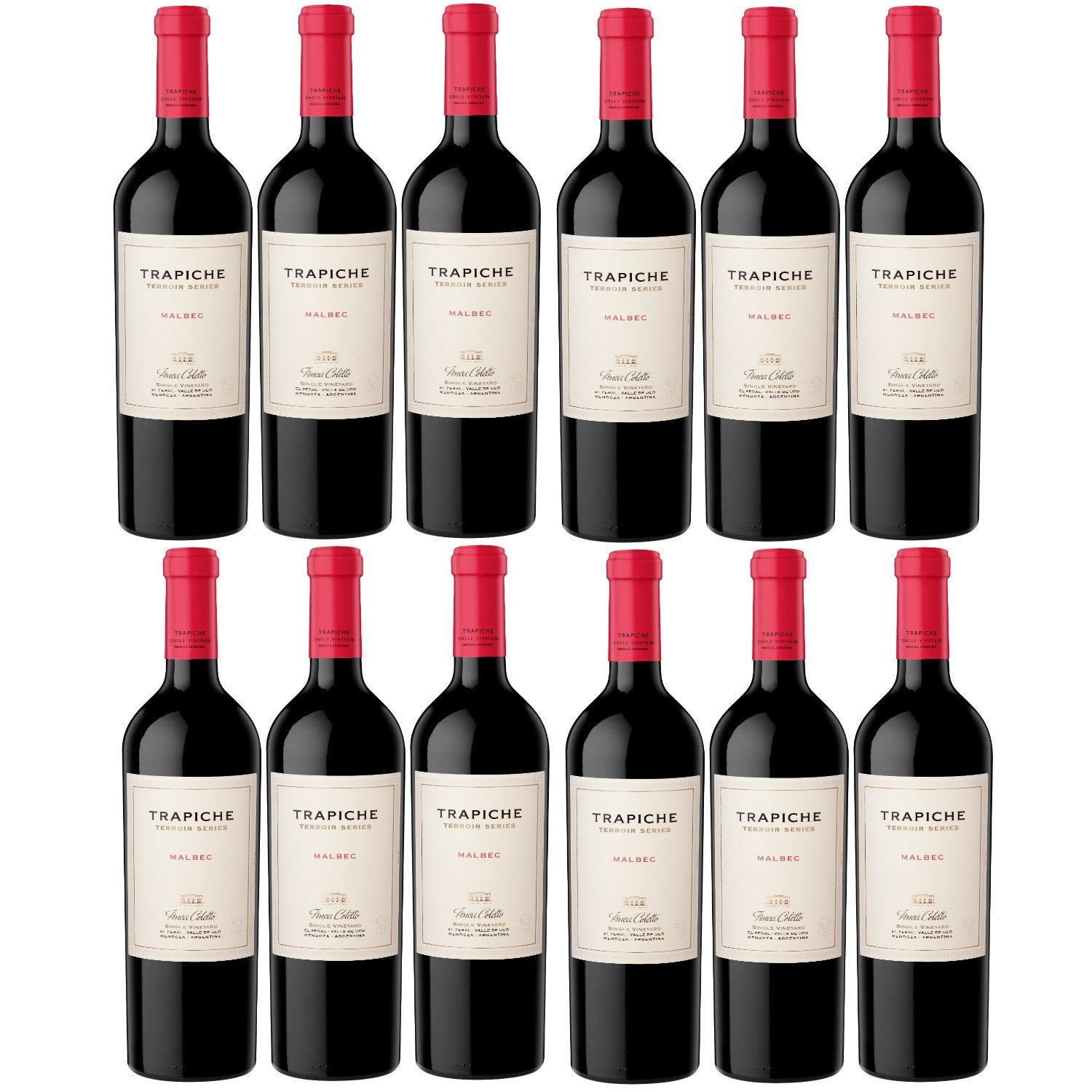 Bodegas Trapiche Terroir Series Malbec Finca Coletto Rotwein Wein trocken Argentinien (12 x 0.75l) - Versanel -