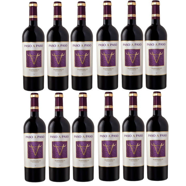 Bodegas Volver Paso a Paso Tinto Tempranillo Rotwein Wein trocken Spanien (12 x 0.75l) - Versanel -