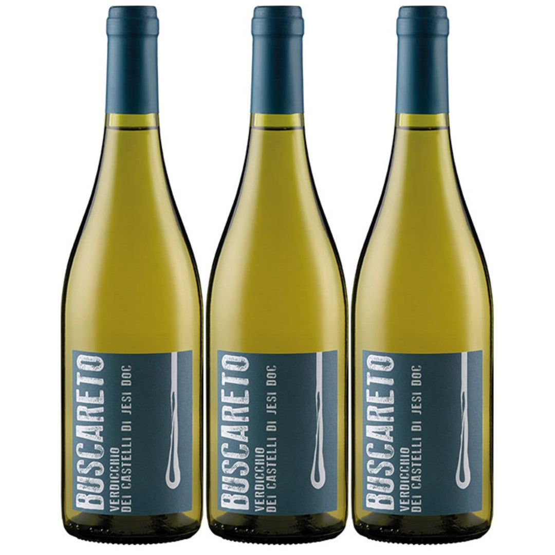 Buscareto Verdicchio dei Castelli di Jesi Weißwein Wein Trocken DOC Italien I Visando Paket (3 x 0,75l) - Versanel -