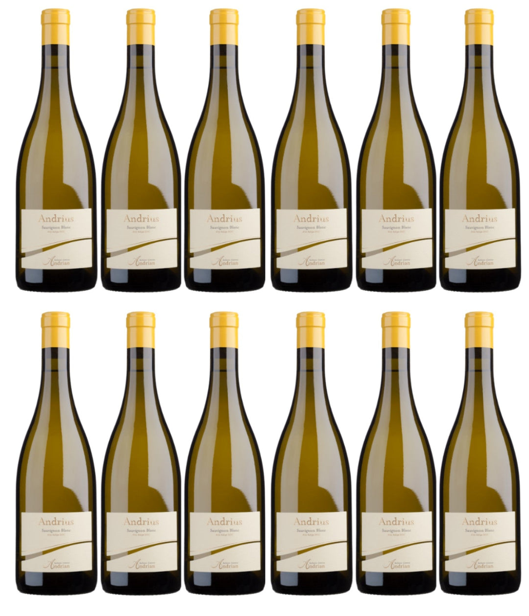 Cantina Andrian Andrius Sauvignon Blanc DOC Weißwein Wein Trocken Italien (12 x 0,75l) - Versanel -