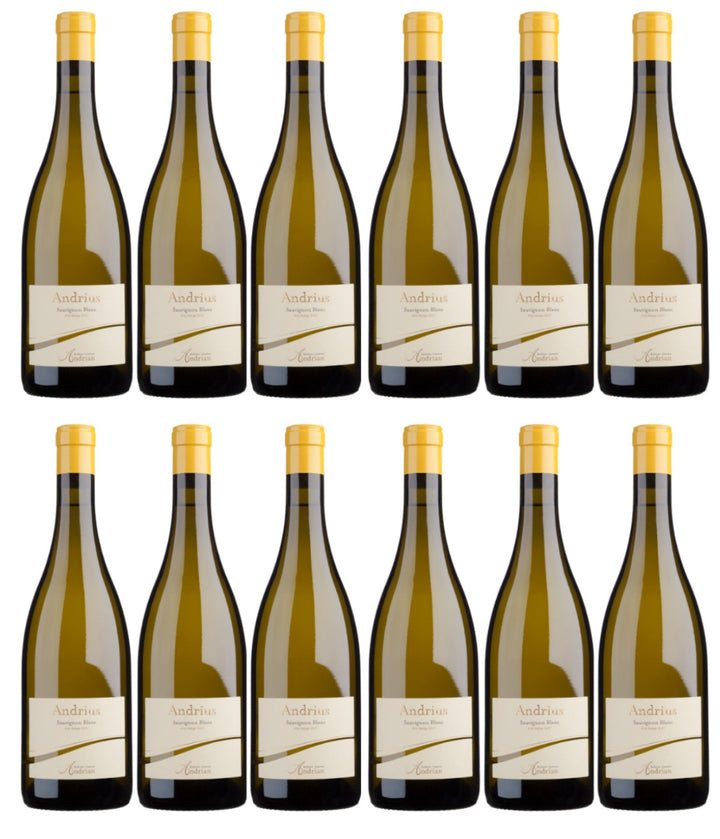 Cantina Andrian Andrius Sauvignon Blanc DOC Weißwein Wein Trocken Italien (12 x 0,75l) - Versanel -