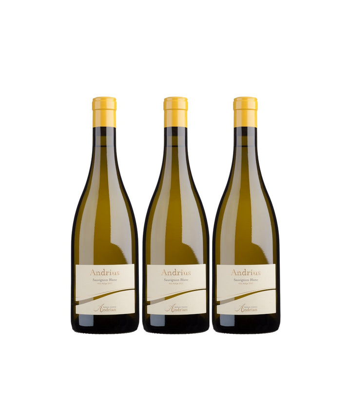 Cantina Andrian Andrius Sauvignon Blanc DOC Weißwein Wein Trocken Italien (3 x 0,75l) - Versanel -