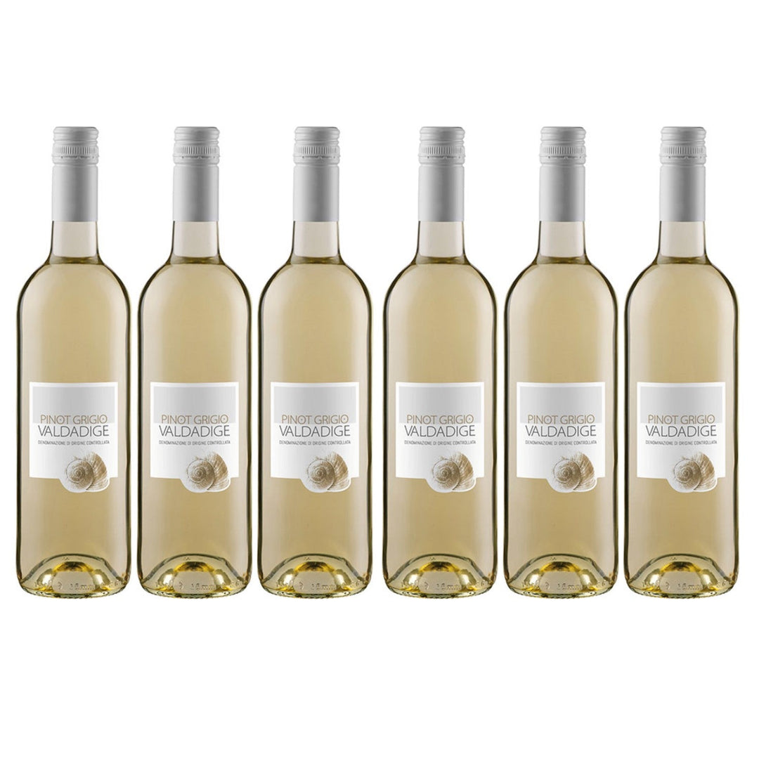 Cantina Valdadige Pinot Grigio DOC Trocken Weißwein Wein DOC Italien (6 x 0.75l) - Versanel -