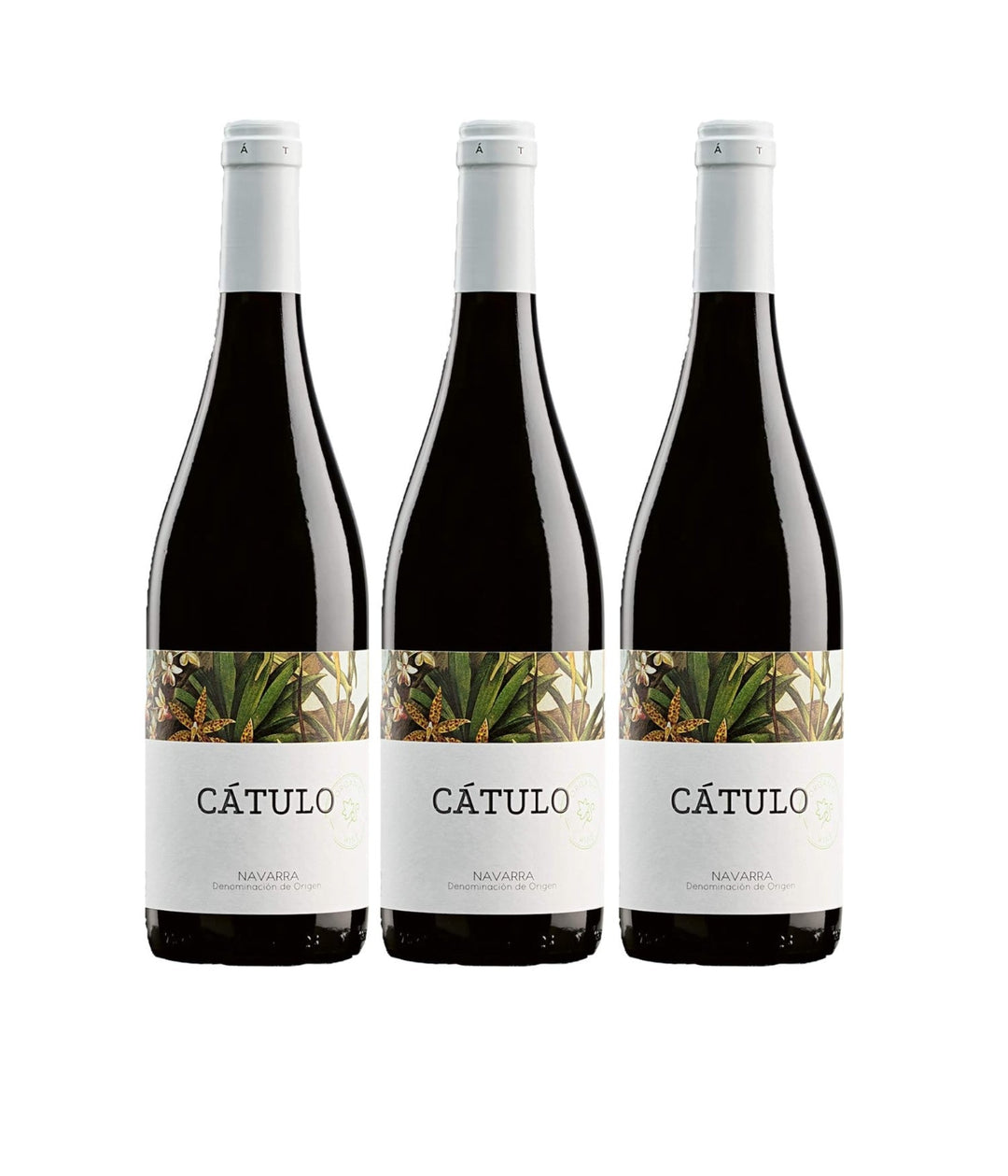 Casa de Lúculo Cátulo Navarra DO Rotwein trocken Spanien (3 x 0.75l) - Versanel -