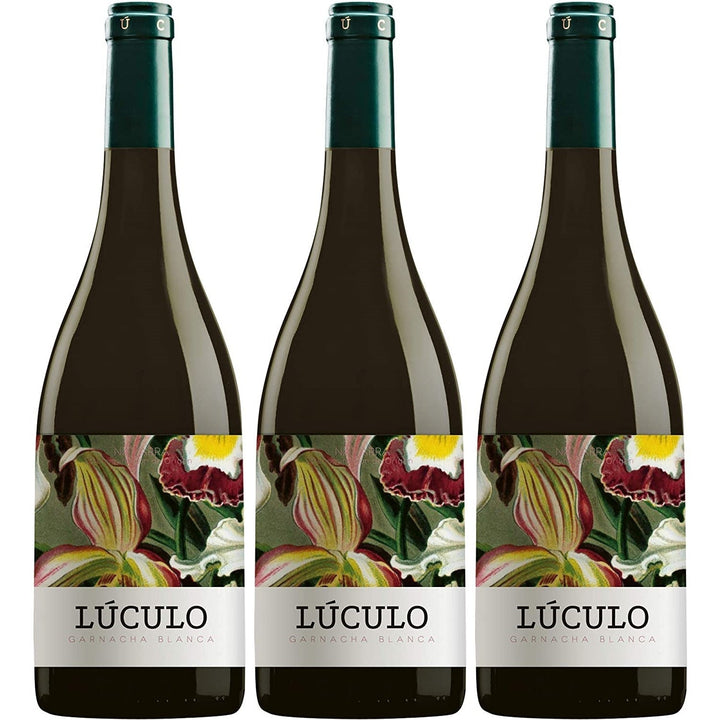 Casa de Lúculo Garnacha Blanca Navarra Weißwein Wein trocken DO Spanien (3 x 0.75l) - Versanel -