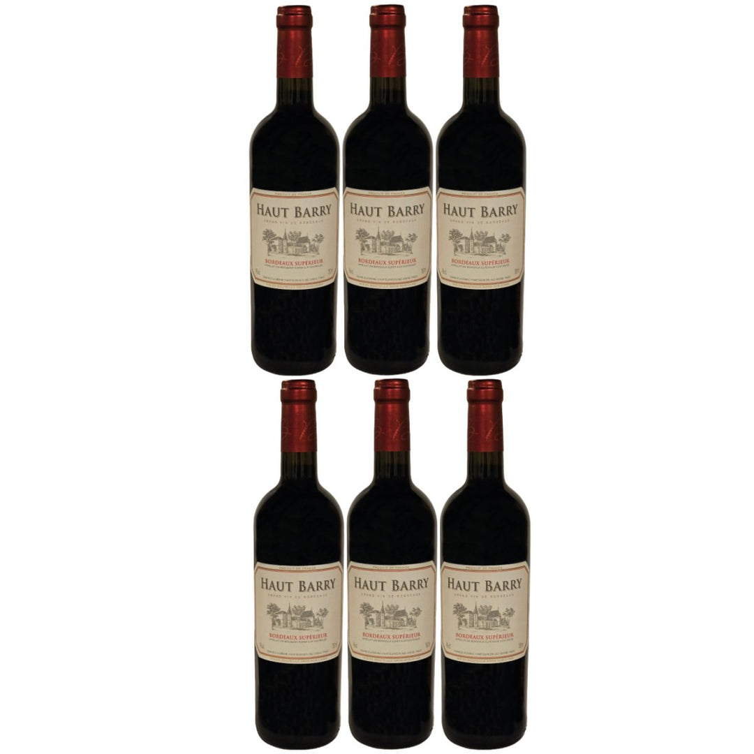 Château Haut Barry Bordeaux Supérieur AOC Rotwein Wein trocken Bio Frankreich (6 x 0,75l) - Versanel -
