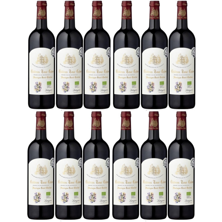 Château Tour Calon Montagne Saint-Émilion AOC Rotwein Bio Wein trocken Frankreich (12 x 0.75l) - Versanel -