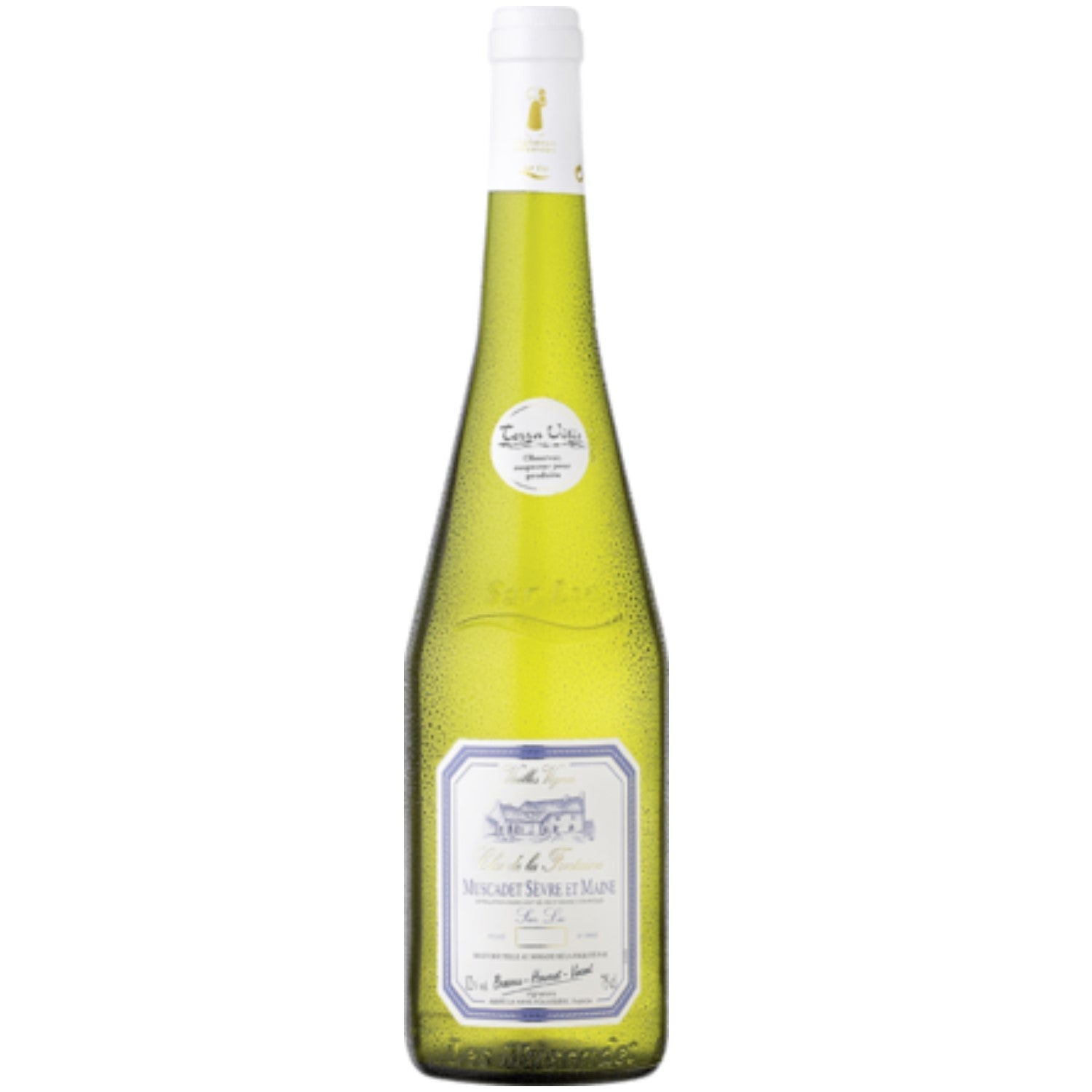 Clos de la Fontaine Muscadet Sèvre et Maine Sur Lie Weißwein vegan trocken AOC Frankreich (12 x 0.75l) - Versanel -