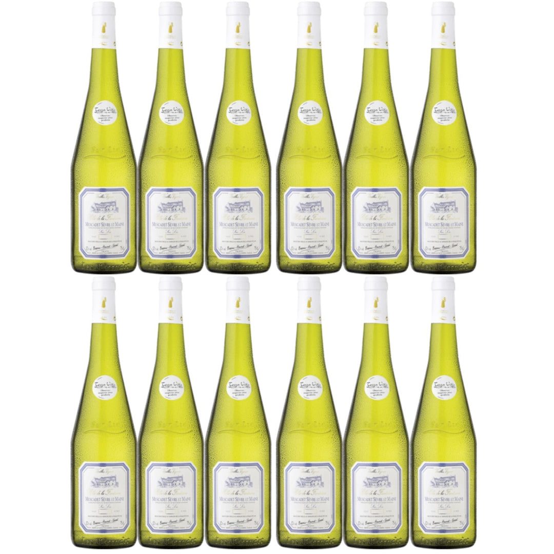 Clos de la Fontaine Muscadet Sèvre et Maine Sur Lie Weißwein vegan trocken AOC Frankreich (12 x 0.75l) - Versanel -