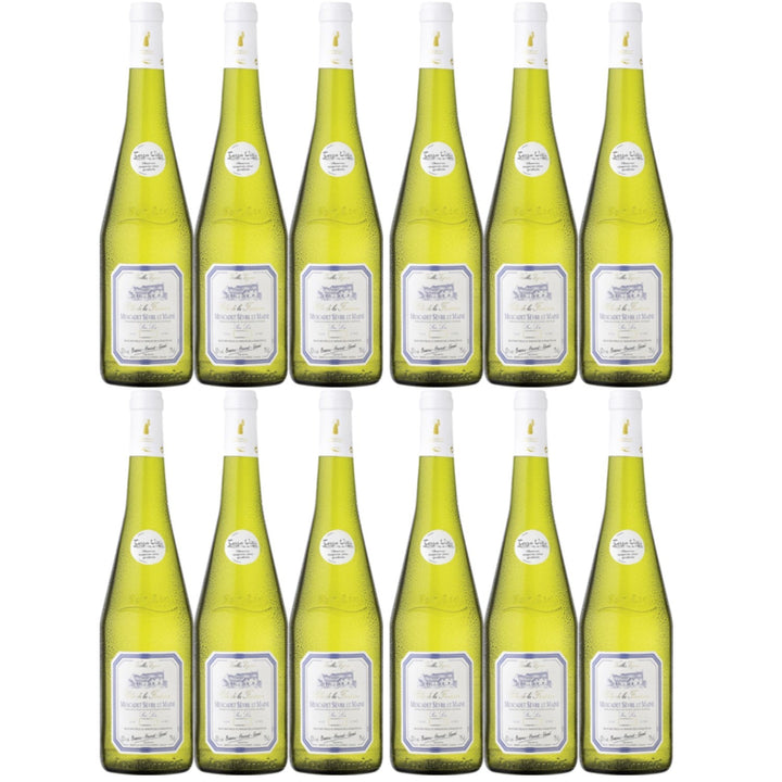 Clos de la Fontaine Muscadet Sèvre et Maine Sur Lie Weißwein vegan trocken AOC Frankreich (12 x 0.75l) - Versanel -