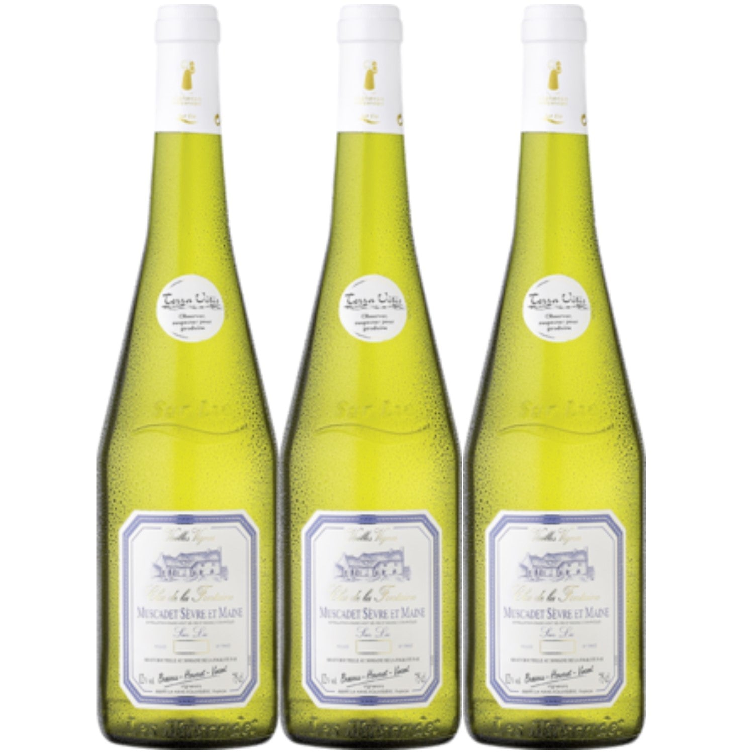 Clos de la Fontaine Muscadet Sèvre et Maine Sur Lie Weißwein vegan trocken AOC Frankreich (3 x 0,75l) - Versanel -