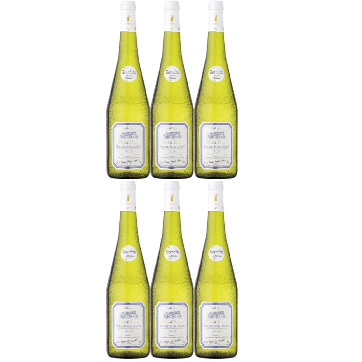 Clos de la Fontaine Muscadet Sèvre et Maine Sur Lie Weißwein vegan trocken AOC Frankreich (6 x 0.75l) - Versanel -