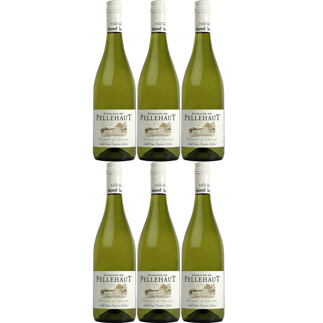 Domaine de Pellehaut Harmonie de Gascogne Blanc Weißwein trocken IGP Frankreich (6 x 0.75l) - Versanel -