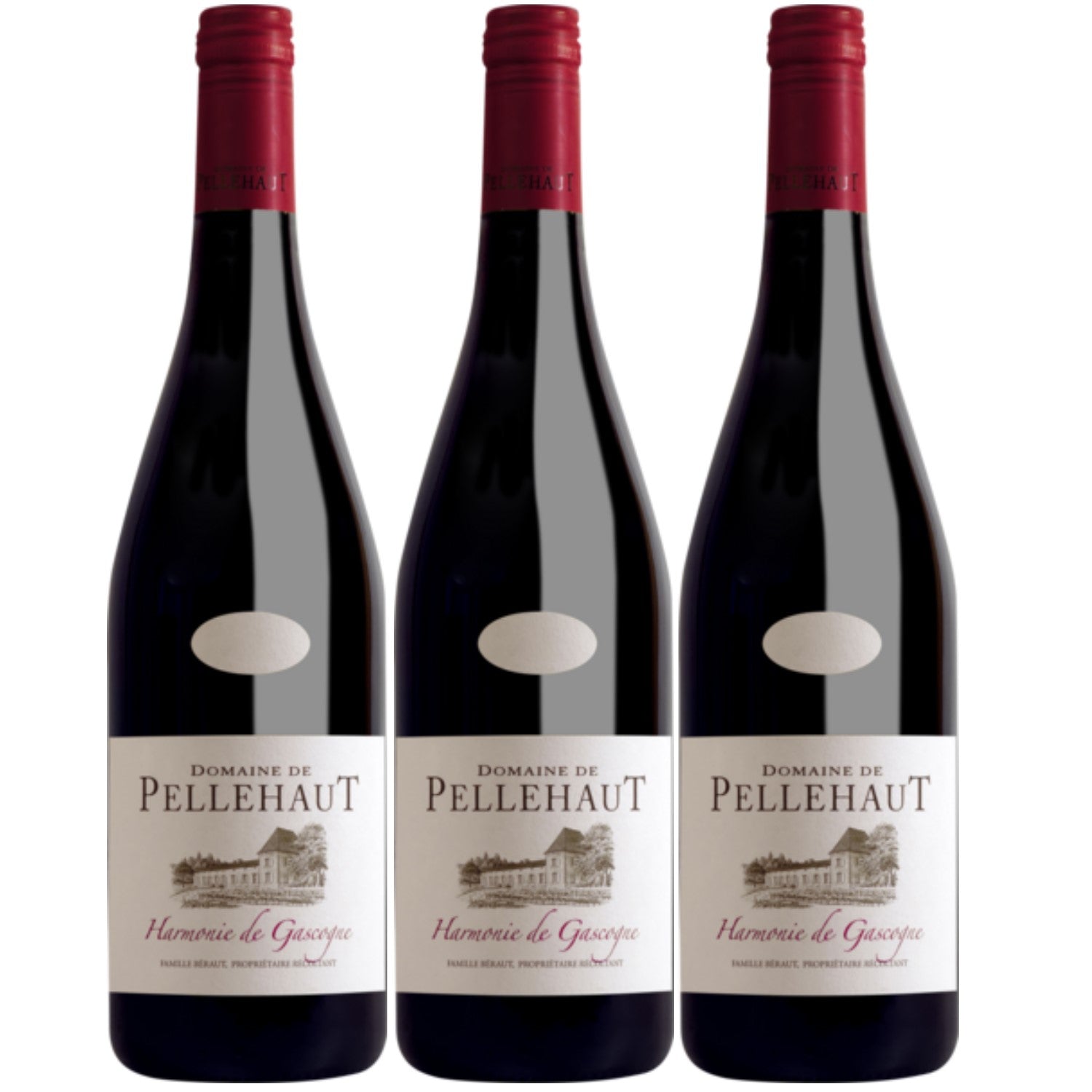 Domaine de Pellehaut Harmonie de Gascogne Rouge Côtes de Gascogne Rotwein trocken IGP Frankreich (3 x 0.75l) - Versanel -