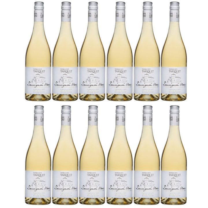 Domaine Tariquet Sauvignon Blanc Côtes de Gascogne IGP Weißwein Wein trocken Frankreich (12 x 0,75l) - Versanel -