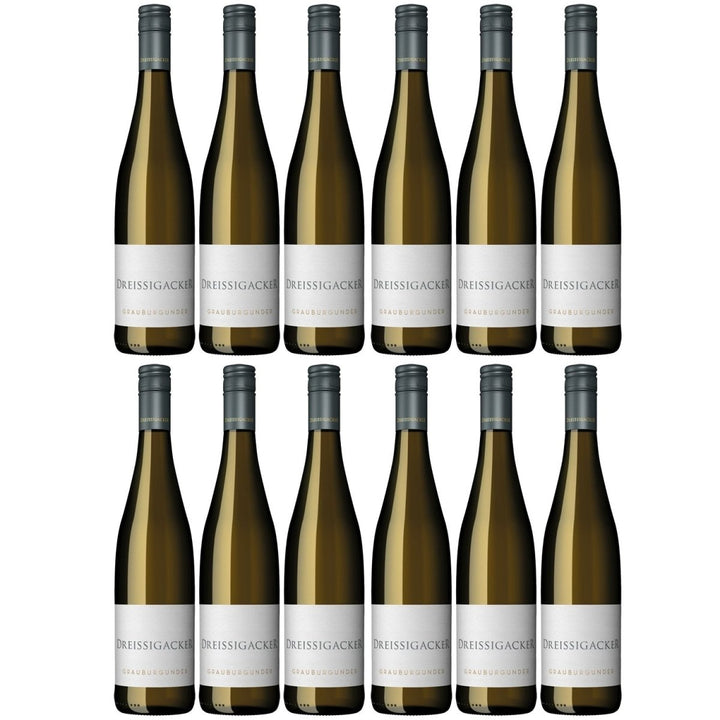 Dreissigacker Grauburgunder Bio Weißwein trocken Rheinhessen (12 x 0,75l) - Versanel -