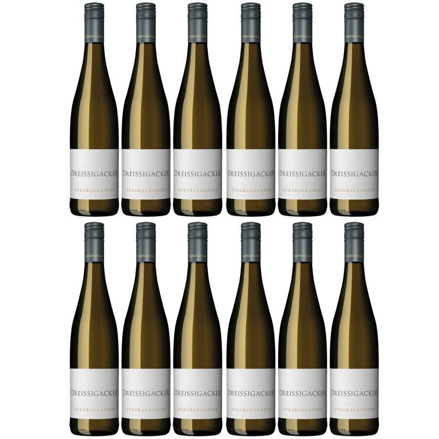 Dreissigacker Grauburgunder Bio Weißwein trocken Rheinhessen (12 x 0,75l) - Versanel -