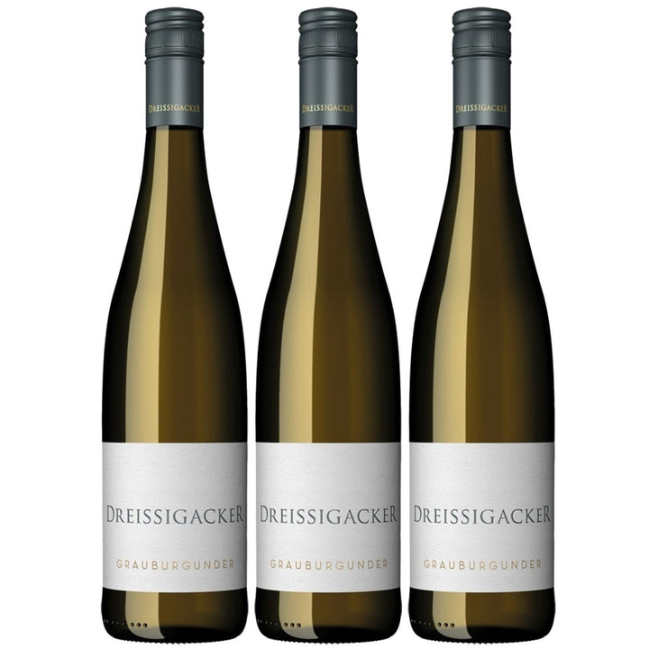 Dreissigacker Grauburgunder Bio Weißwein trocken Rheinhessen (3 x 0,75l) - Versanel -