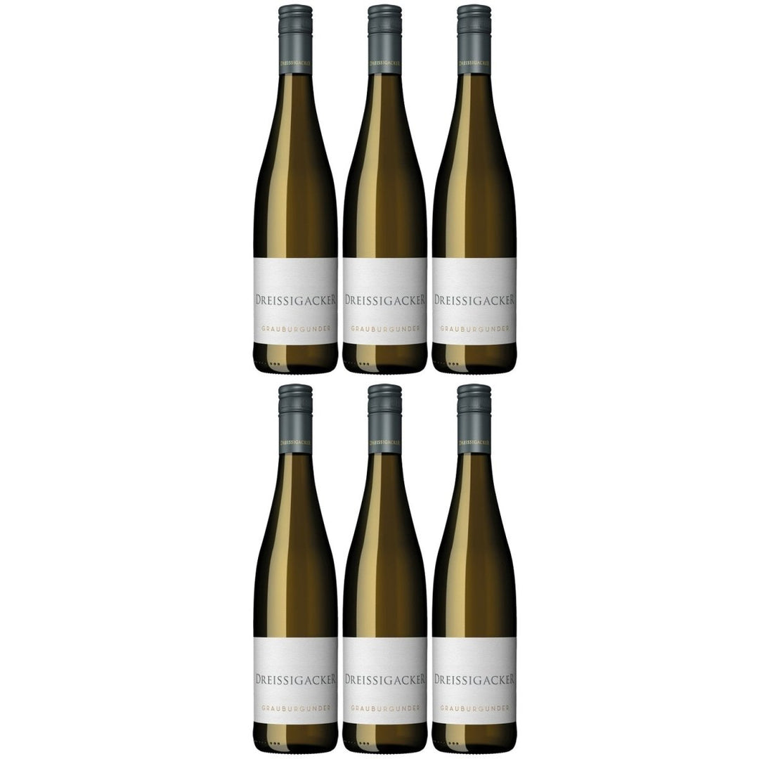 Dreissigacker Grauburgunder Bio Weißwein trocken Rheinhessen (6 x 0,75l) - Versanel -