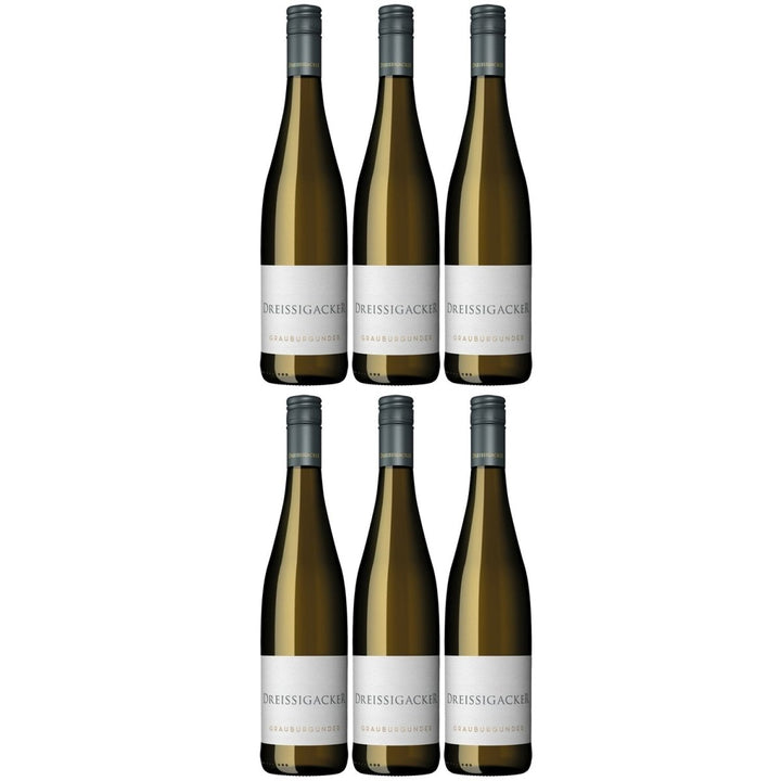 Dreissigacker Grauburgunder Bio Weißwein trocken Rheinhessen (6 x 0,75l) - Versanel -